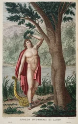 Daphne in einen Lorbeer oder Apollo Incoronasi de Lauro, Illustration aus Ovids Metamorphosen, Florenz, 1832